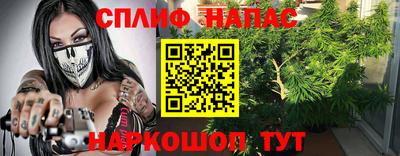 дурь Сланцы
