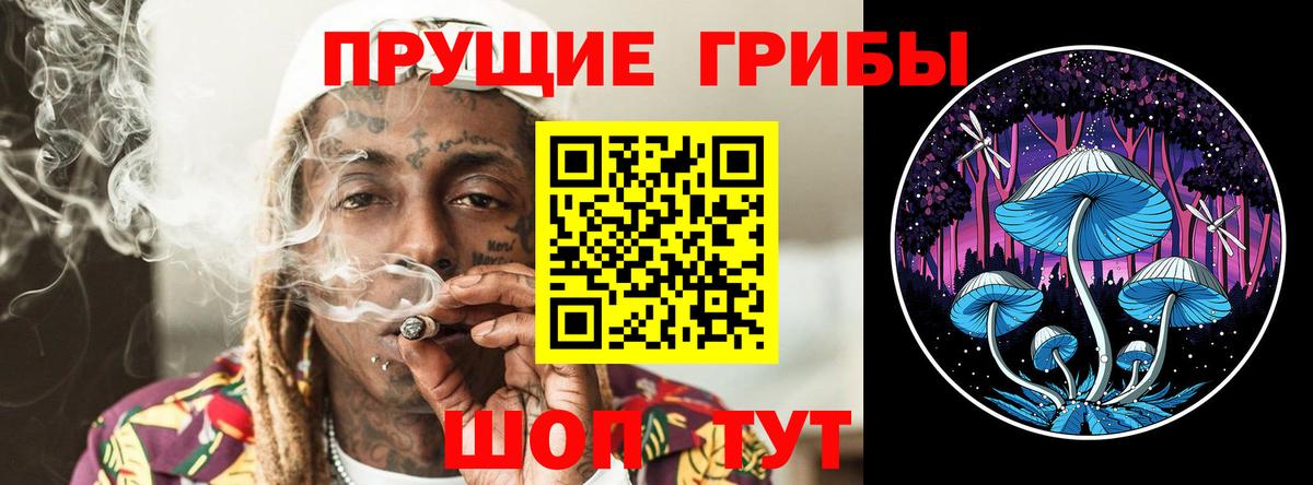 Псилоцибиновые грибы Cubensis  Галлюциногенные грибы Cubensis  Вход с VPN  Новый Уренгой 